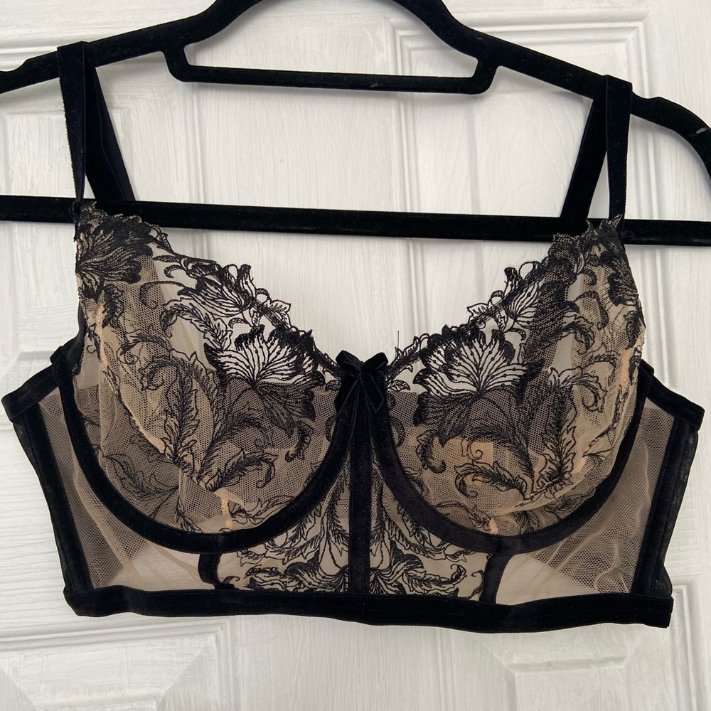 DitaVonTeese Bra